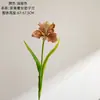 Fiorera Clivia Estilo INS Flores Artificiais para Decoração de Casa Flores Falsas Atacado Buquês de Mão Decorações de Casamento Transfronteiriças