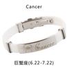 Pulseira de aço inoxidável para homens e meninas Japonês e coreano Estudante da moda simples Doze Constellation Creative Titanium Pulseira de silicone de aço