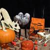 Decorações de esqueleto de Halloween Dragão voador Gato Aranha Crânio osso ornamentos Esqueleto animal de plástico adereços de layout