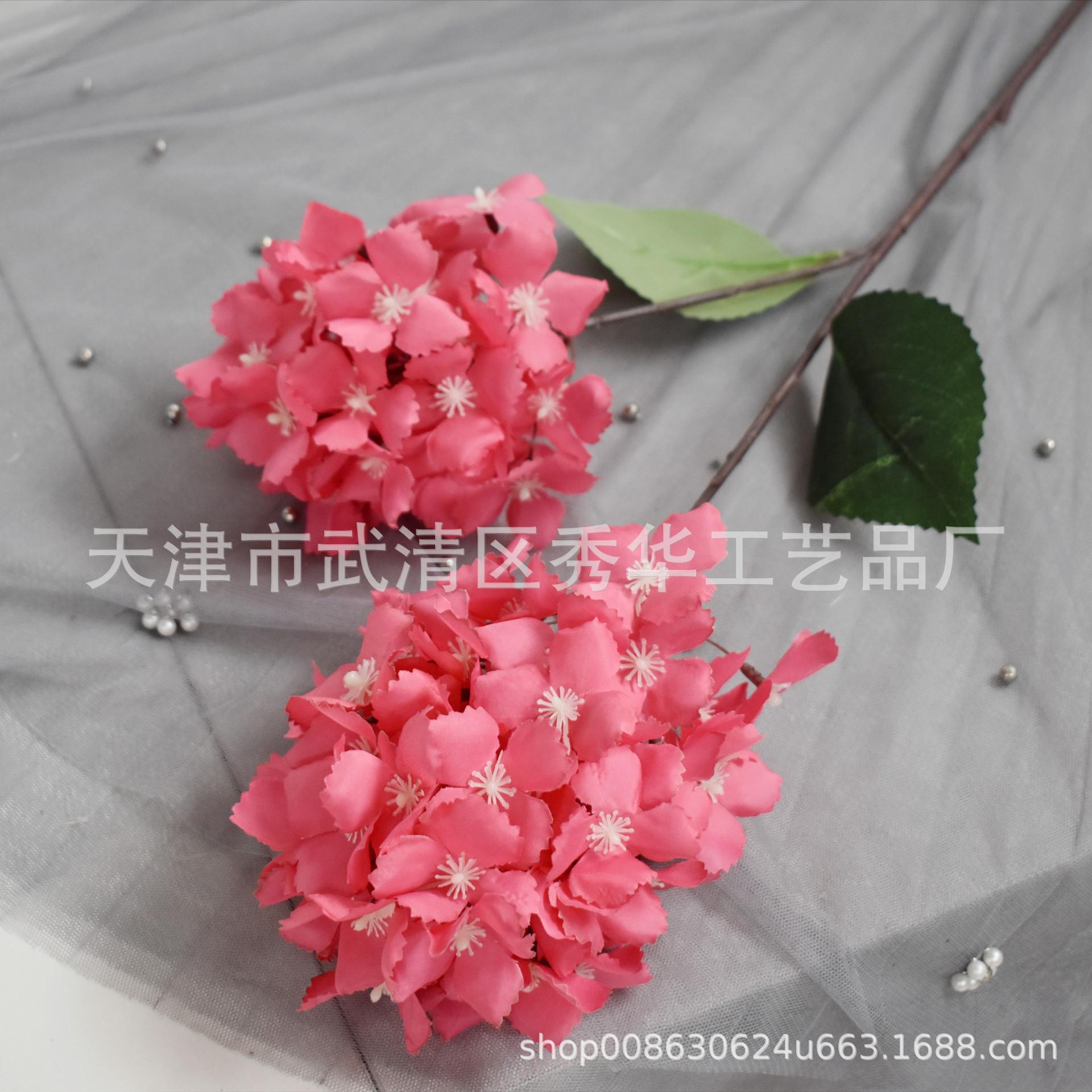 2头绣球 玫红色
