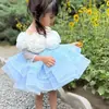 Vestido Princesa com Suspensório para Meninas Transfronteiriço Manga Longa Estampa Floral Luxo Leve Nicho Vestido Infantil Roupa para Desfile
