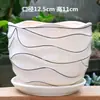 Maceta de Cerámica Tamaño Grande Oferta Especial Liquidación Interior Escritorio Balcón Suculenta Maceta Pequeña Clorofito Helecho Espárrago Maceta Simple Blanca