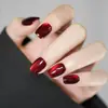Liquidação EspecialUnhas Usáveis Totalmente Feitas à Mão Novo Estilo Clareamento Suave Olho de Gato High-End Estilo Curto Aluno Tapete