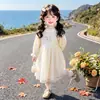 Vestido de Malla con Conejitos Estilo Coreano para Niñas Estilo Primavera/Otoño 2026 Nueva Moda Infantil Vestido Elegante de Princesa para Niña Pequeña