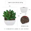 Más de 100 Tipos de Combinaciones de Plantas Suculentas Artificiales en Maceta Mini, Ventas Transfronterizas Populares, Estilo Sencillo Decoración del Hogar Flores Artificiales y Plantas Verdes, Directo de la Fábrica Fuente