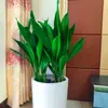 Planta Hidropônica Orquídea de Uma Folha em Vaso Planta Verde Moderna de Interior Perene para Todas as Estações Sala de Estar Flores Cultivadas em Água Plantas Fáceis de Cuidar
