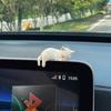 Espelho retrovisor deitado boneca feminina enfeites de carro gato fofo sonolento gato preguiçoso console central tela decoração ornamentos