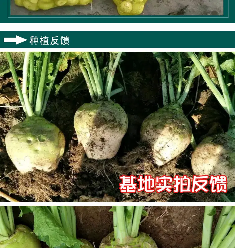 阿里版_08