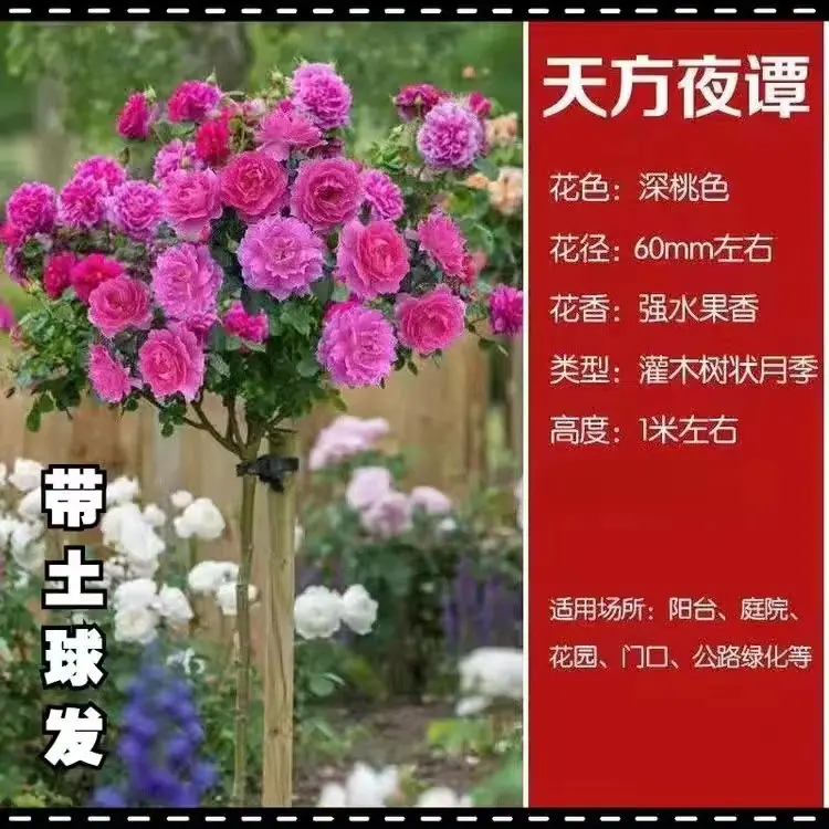 微信图片_20221024201134
