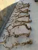 Terrario para reptiles paisajismo madera esquina de pestañas de serpiente caja de gecko lagarto trepador doble corona plataforma para tomar el sol patrón de dragón madera muerta