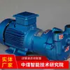 Venta Directa de Fabricante de Bombas de Vacío de Anillo de Agua Punto de Venta Entrega Rápida Fuente Conveniente de Bombas de Vacío de Anillo de Agua Fabricante