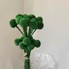 Flores eternas verdes, atmósfera de primavera, decoración del hogar, ramos para tiendas, decoración de ropa de mujer, materiales de flores secas, arreglos florales de recepción, ramas para escenas