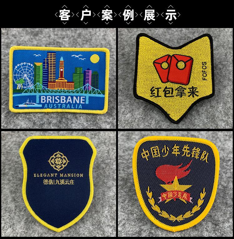 展示图10