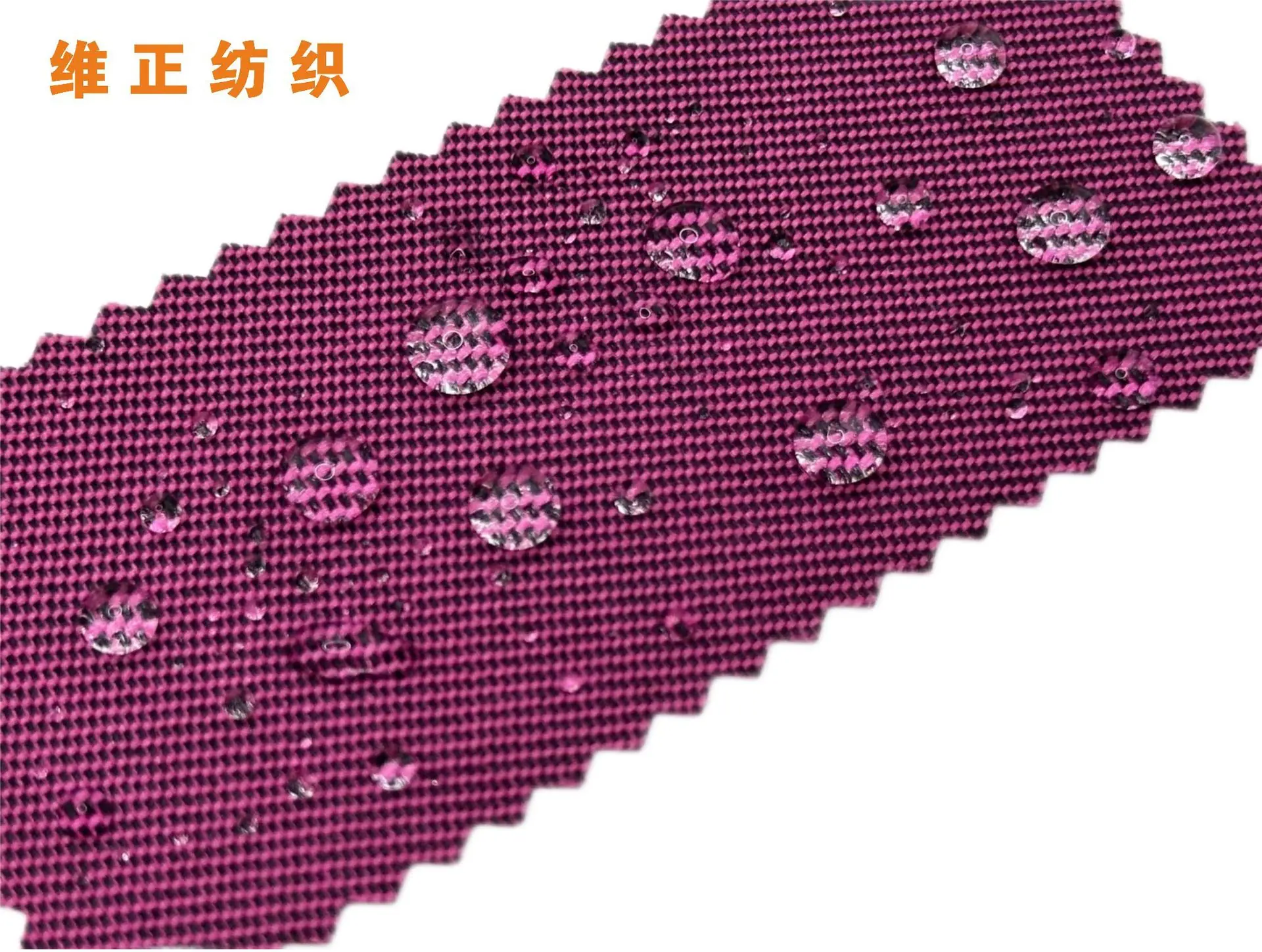 白底图_01(2)