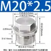 Tapón Externo Hexagonal con Cabeza de Brida de Acero Inoxidable 304 Tapón de Aceite Tapón de Tubería Tornillo Tapón 1/2 pulgada 2 3 4 Rosca M8 Tubería