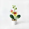 Dos orquídeas Phalaenopsis artificiales, una grande y una pequeña, hechas de plástico de tacto suave, adecuadas para decoración de fotografía de bodas en macetas pequeñas