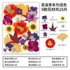 Flor Seca Material para DIY Marcapáginas en Relieve Panel Pintura Gipsofila Gipsofila Rosa Hojas Reales Espécimen Vegetal Pegamento de Goteo Marco de Fotos