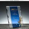 La nueva placa de matrícula de cristal se puede colocar en la empresa banco seguro autorización premio letras gratuitas facturación envío