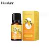 Óleo Essencial para Massagem Hanji 10ml Gengibre Losna Salão de Beleza Gua Sha Massagem nas Costas Massagem nos Tendões Fabricante Atacado Óleo Essencial Composto