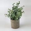 Miniplantas verdes en maceta de estilo nórdico para decoración del hogar, de escritorio, muy vendidas en Amazon.