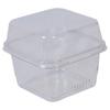 Caja de Postre Cuadrada de Madera con Salvado, Caja para Pastel de Lasaña, Empaque para Leche de Soya, Caja de Embalaje Transparente de Alta Gama para Fruta y Repostería Occidental