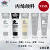 Set de Pintura Acrílica Personalizado de 75 ml, Impermeable y que no se decolora, Adecuado para Pintura DIY en Estudio, Se puede imprimir con logotipo