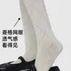 Nuevos Calcetines Finos de Malla para Mujer de Primavera y Verano, Argyle de Malla, Color Sólido, Calados, Tubo Largo Adelgazante Jk para Mujer, Transfronterizos
