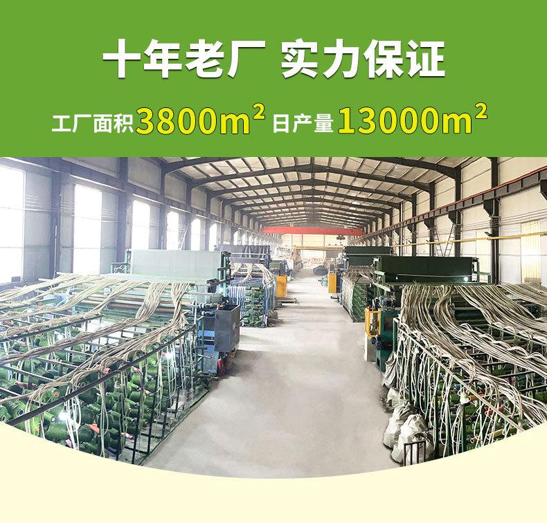 草坪--足球场免填充_01