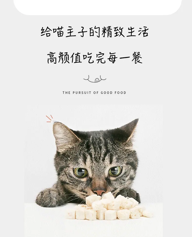 猫碗_06.jpg