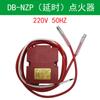 Ignitor doméstico de 220V, estufa de aceite vegetal de metanol, ignitor electrónico de retardo de alto voltaje y alta potencia, accesorios