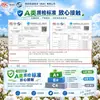 Colcha de Algodón de Xinjiang Clase A Colcha Cálida de Algodón Colcha de Invierno Núcleo de Colcha Individual Doble Colcha de Primavera Otoño Dormitorio de Estudiantes Colcha de Cuatro Estaciones Venta al por Mayor