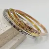 Pulsera de Diamante de Acero de Titanio de Oro de 18 Quilates Transfronteriza para Mujer Remache Sol y Luna Trébol de Cuatro Hojas Corazón Simple Pulsera Pulsera de Alta Gama