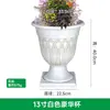 Maceta de Plástico con Relieve de Flor Reina Lujo Modelo Nuevo Exportación Global Maceta Personalizada Creativa Estilo Europeo Maceta Estilo Nórdico