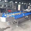 Máquina de classificação de peso de produtos de peixe máquina de classificação de peso de peixe fresco máquina de classificação automática por tamanho peso Shunze