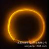 Collar LED Emisor de Luz Transfronterizo Amazon Fibra Óptica PVC Collar para Mascotas Nocturno Suministro Directo de Fábrica Mayoreo