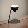 Producto Patentado Filtro Cerámico Sin Poros Cono de Loto Filtro de Café Mandarina Pequeña Colador de Té Pu'er Separador de Agua para Té Núcleo Reemplazable