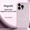 Adecuado para Apple 17Promax Funda de Teléfono Móvil de Silicona Líquida con Carga Magnética Iphone16 Borde Recto Tacto Piel 13 Funda Protectora