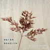 Flores Falsas de Bronce Simulado, Hojas de Dinero, Plantas Verdes, Cubo de Bendición de Año Nuevo, Adornos de Navidad, Hojas de Abanico Plateadas, Decoración de Salón de Bodas