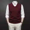 Chaleco de punto para comercio exterior transfronterizo, suéter de negocios para hombre, chaleco de lana para mediana edad, 270 gramos, 12 puntos