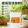 Grânulos de bactérias claras tipo broadcast previnem doenças e pragas, previnem o plantio contínuo, aumentam o rendimento de culturas de campo, frutas e vegetais, melhoram o solo, uso geral