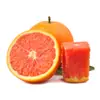 Red Jade Laranja Sanguínea Mudas para Pátios do Norte e do Sul Vasos e Plantio no Solo Árvores Frutíferas Laranja Doce de Polpa Vermelha Enxertadas