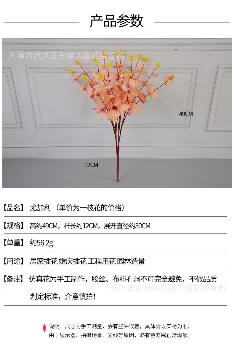 详情_01.jpg
