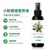Solución Nutritiva del Árbol de Bodhi Xiaopan Fertilizante para Plantas de Cuatro Estaciones Previene el Amarilleamiento y la Marchitez, Promueve la Floración y la Frutificación, Fertilizante Compuesto para Interiores para Uso Doméstico