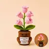 Plantas en Maceta Terminadas Transfronterizas, Adornos de Luz de Noche de Muguete Tejidos a Mano, Tarjetas de Ánimo de Emociones Positivas, Plantas en Maceta de Muñeca