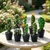 Flores Artificiais Plantas Tropicais Cacto em Vaso Gaze Preta Fabricante Internacional de Plantas Artificiais Fornecimento Direto Transfronteiriço Dropshipping de Peça Única