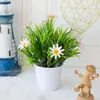 Suministro transfronterizo de plantas de simulación, flores en maceta, plantas verdes, flores falsas, bonsái de plástico, decoración de interiores, decoración de escritorio.