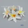 Flor de Lírio Pequena de 7cm Cabeça de Flor de Lírio-do-Vale Artificial Caixa de Flores Pacote de Material DIY Feito à Mão Decoração de Chapéu de Doutor Lembrança