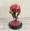 Presente mais vendido para o Dia dos Namorados e Dia das Mães: caixa de presente com cúpula de vidro com flores eternas, design do Pequeno Príncipe, atacado
