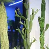 Cactus Simulado Planta Tropical del Desierto De Pie Cactus Falso Grande Columna Planta Verde Decoración de Ventana de Tienda de Ropa