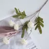 Amazon Color Otoño Bola de Diente de León de 5 Cabezas Crisantemo Flor Artificial Ramo Decoración Escena Floral Arreglo Decoración de Boda Flores Falsas
